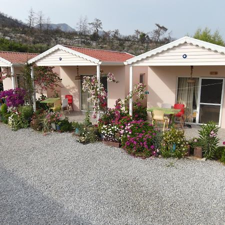 Bed and Breakfast Yelken Bungalov Milas Exteriér fotografie