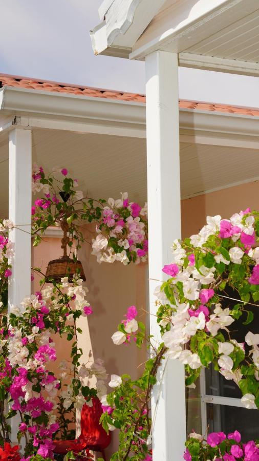 Bed and Breakfast Yelken Bungalov Milas Exteriér fotografie