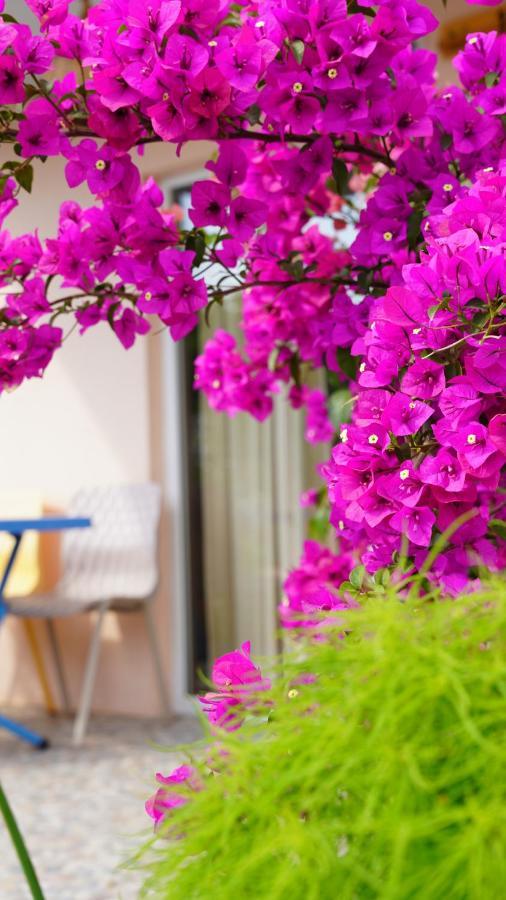 Bed and Breakfast Yelken Bungalov Milas Exteriér fotografie